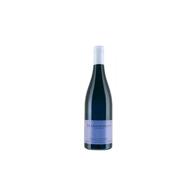 Marsannay Blanc 2023, Domaine Pataille