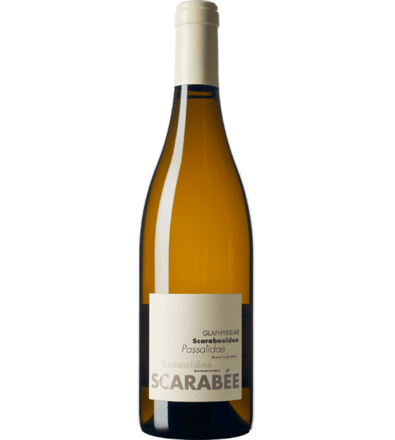 Scarabée 2025, Domaine des Escaravailles