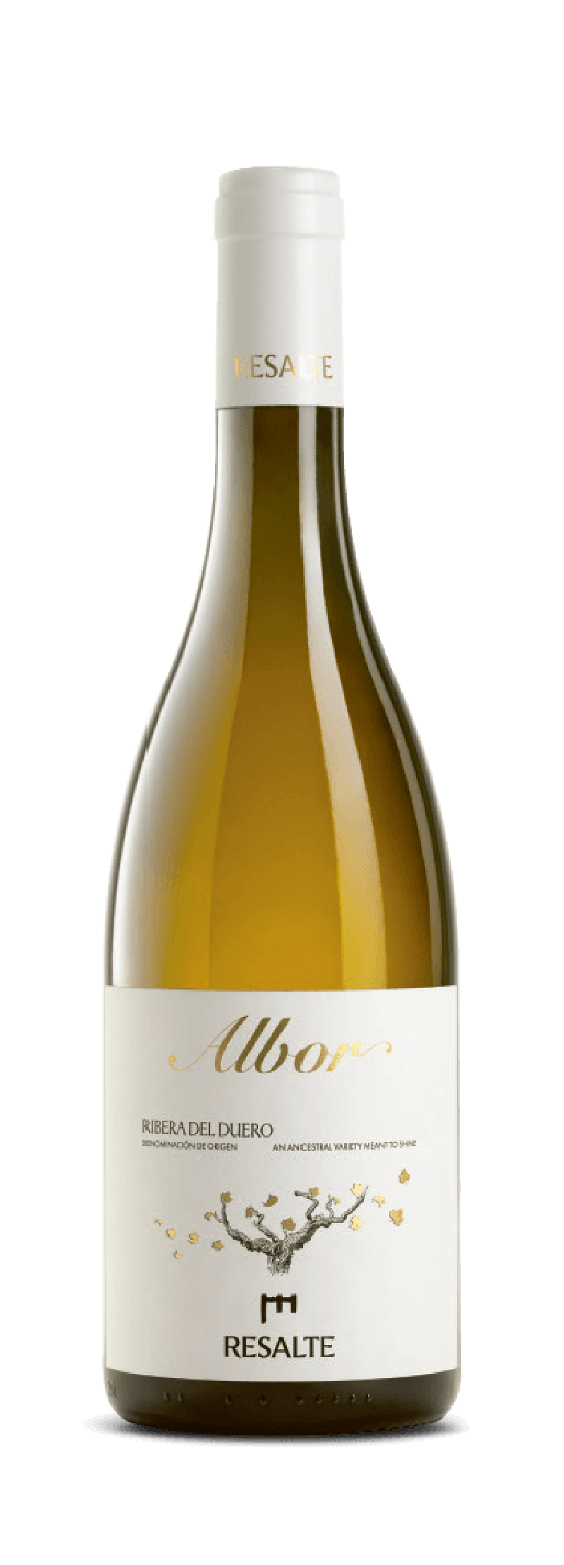 Albor 2024, Bodegas Resalte
