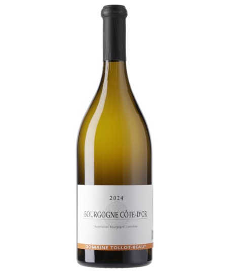 Bourgogne Blanc Côte-D'Or 2024, Domaine Tollot-Beaut