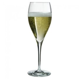 Coupe Champagne